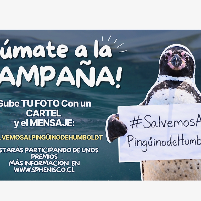 2a_Kampagne Chile_quad